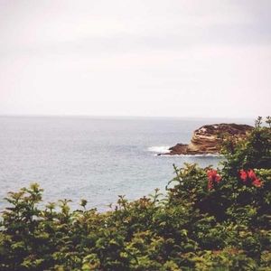 Meet your Posher, Chad